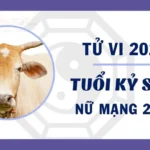 Tử vi tuổi kỷ sửu 2009 nữ mạng năm 2023