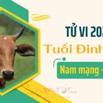 Tử vi 2026 tuổi Đinh Sửu nam mạng