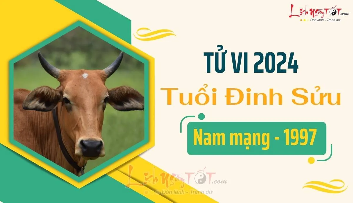 Tử Vi Đinh Sửu 2024 Nam Mạng: Luận Giải Chi Tiết Vận Hạn Năm 2026 14 Tử vi 2026 tuổi Đinh Sửu nam mạng