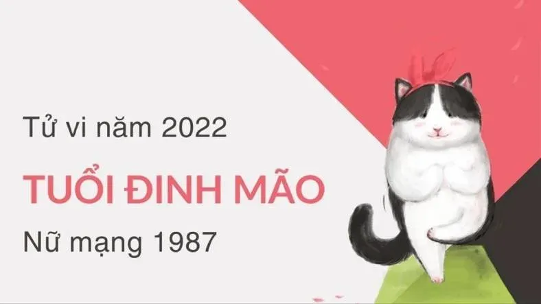 Lá số tử vi tuổi Đinh Mão 1987 nữ mạng trong năm 2026