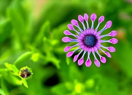 Người tuổi Dậu cần cẩn trọng lời nói trong ngày 3/2/2026