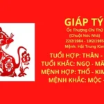 tu vi tuoi giap ty hop huong nao