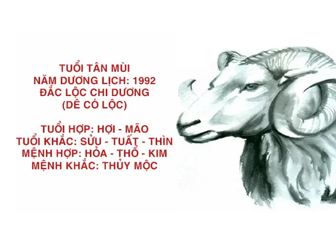 tu vi tuoi tan mui hop huong nao