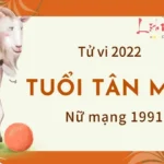 Tu vi tuoi Tan Mui nam 2026 nu mang 1991