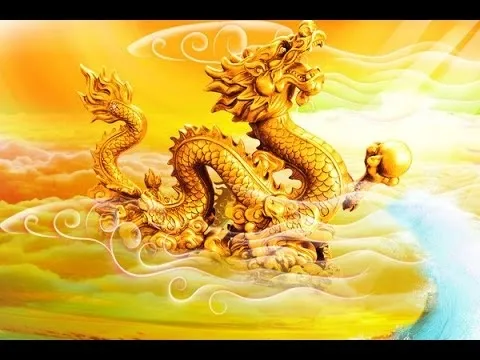 Biểu đồ phân bổ tài sản hợp lý