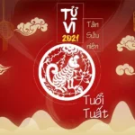 Tử vi tuổi Nhâm Tuất nữ mạng năm 2026 với nhiều biến động