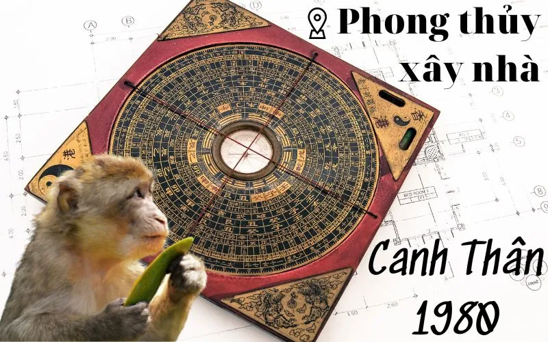 Kết hợp phong thủy và khí hậu