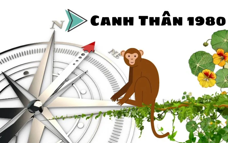 Hướng Nhà Tuổi Canh Thân 1980: Chọn Hướng Cát Theo Phong Thủy Bát Trạch 22 Sơ đồ hướng nhà tuổi Canh Thân 1980