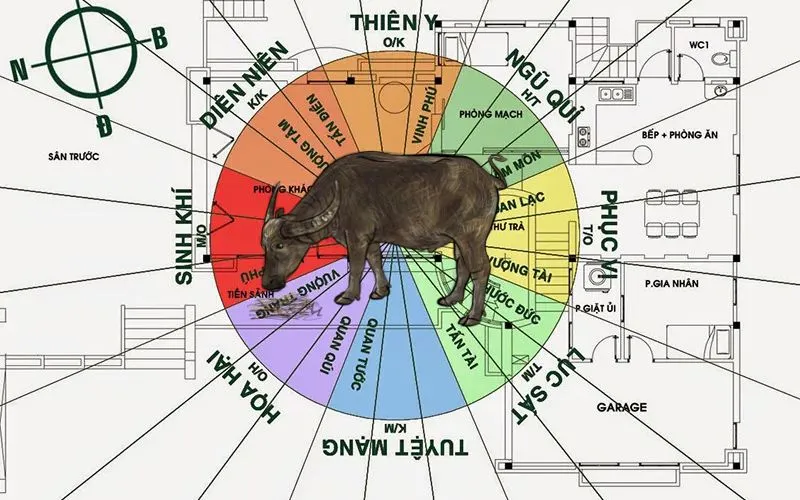 Hướng nhà xấu mà Đinh Sửu 1997 cần tránh
