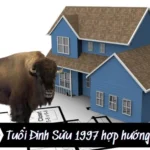 Sơ lược về tử vi gia chủ tuổi Đinh Sửu 1997