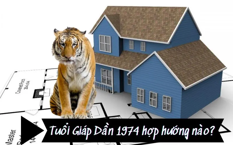Đặc điểm mệnh lý tuổi Giáp Dần 1974