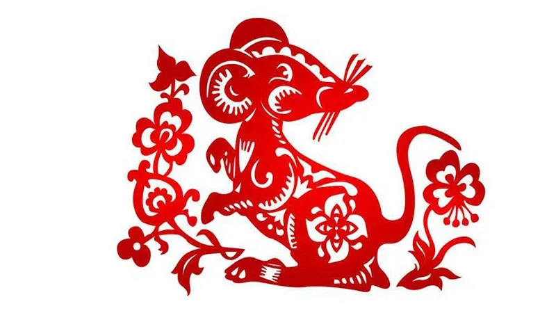 Tuổi Canh Tý Hợp Hướng Nhà Nào Để May Mắn Cả Năm 2026? 18 Hình ảnh minh họa: Người tuổi Tý rất thông minh, nhạy bén và sắc sảo