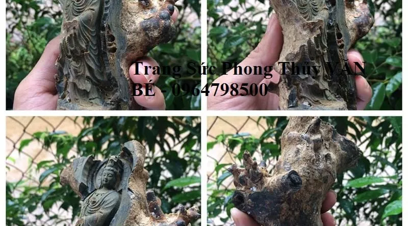 Cách Nhận Biết San Hô Đen Thật Giả Chính Xác Nhất 2026 24 Tượng San Hô Đen