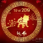 Tu-vi-tuoi-Mao-nam-2019-Ky-Hoi