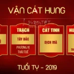 Bản đồ sao hạn và vận trình cát hung của người tuổi Tỵ năm Kỷ Hợi