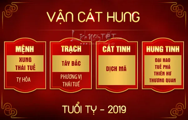 Bản đồ sao hạn và vận trình cát hung của người tuổi Tỵ năm Kỷ Hợi