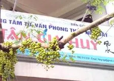 Thầy Hải Phong Thủy Thanh Hóa – Chuyên Gia Tư Vấn Nhà Đất Uy Tín 2026 2 Chân dung Thầy Hải đang thực hiện khảo sát địa lý phong thủy tại hiện trường