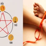 Mệnh Thổ và Mộc trong Ngũ Hành