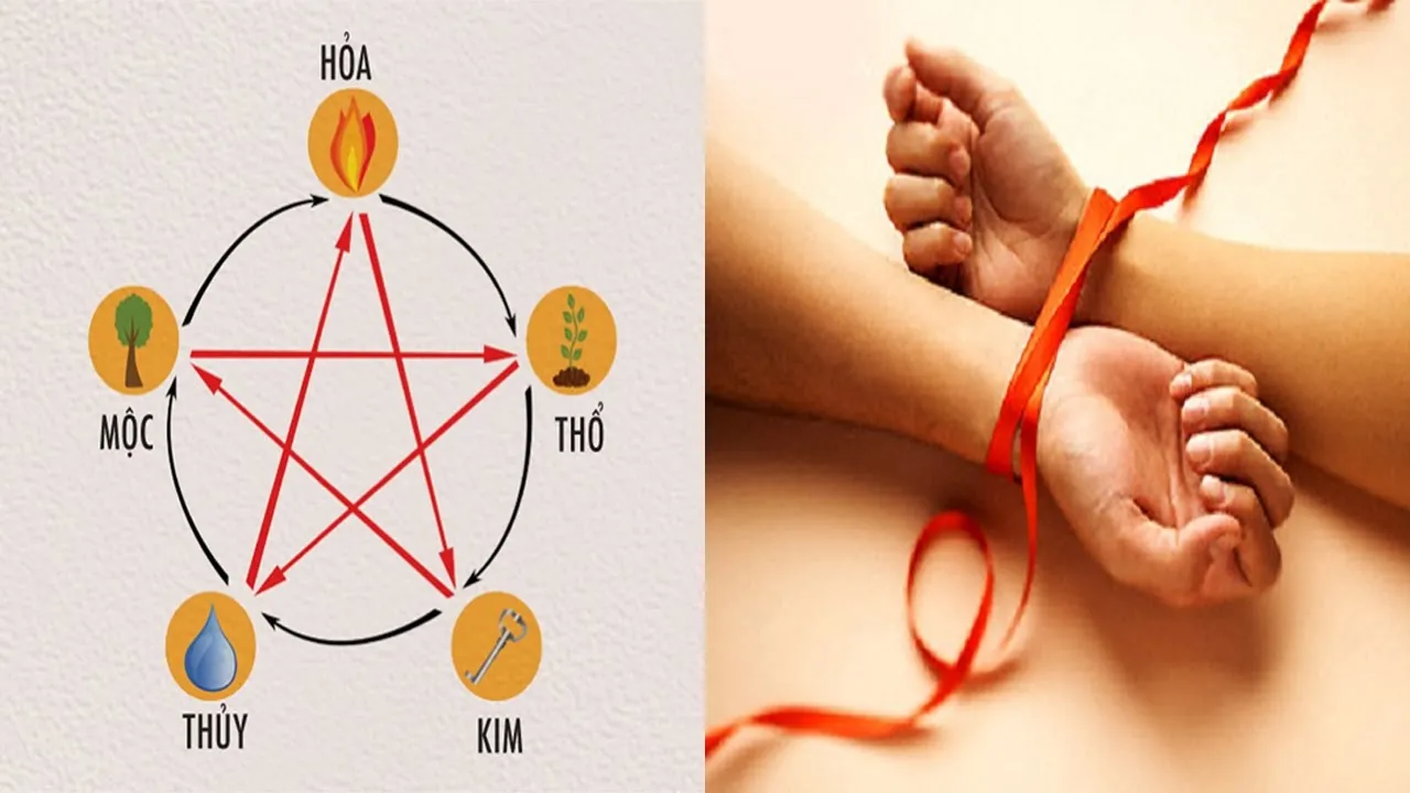 Mệnh Thổ và Mộc trong Ngũ Hành