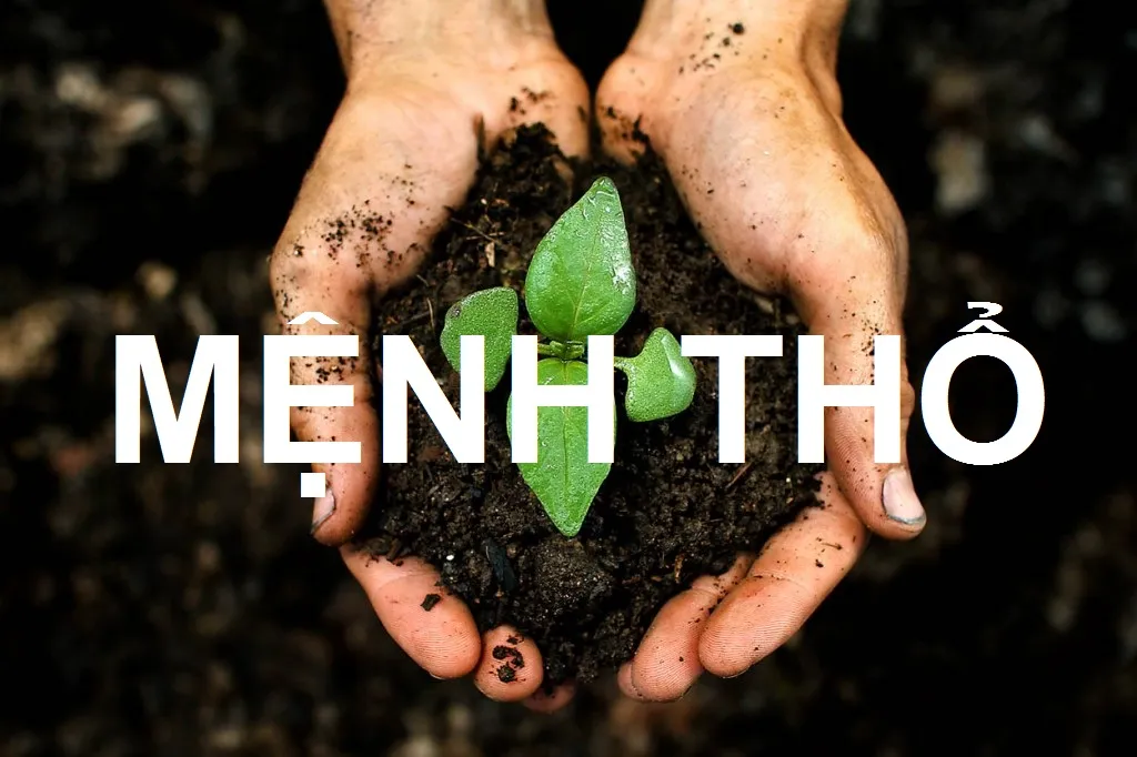 Mệnh Thổ tượng trưng cho đất và sự nuôi dưỡng