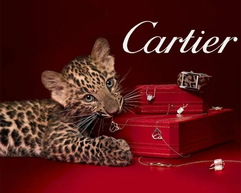 Vòng đinh Cartier phiên bản kim cương
