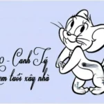 Phân tích chuyên sâu về việc chọn tuổi xây nhà năm 2020