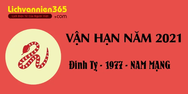 Sơ đồ tổng quan về sao chiếu mệnh và vận hạn của nam giới sinh năm 1977 trong năm Tân Sửu