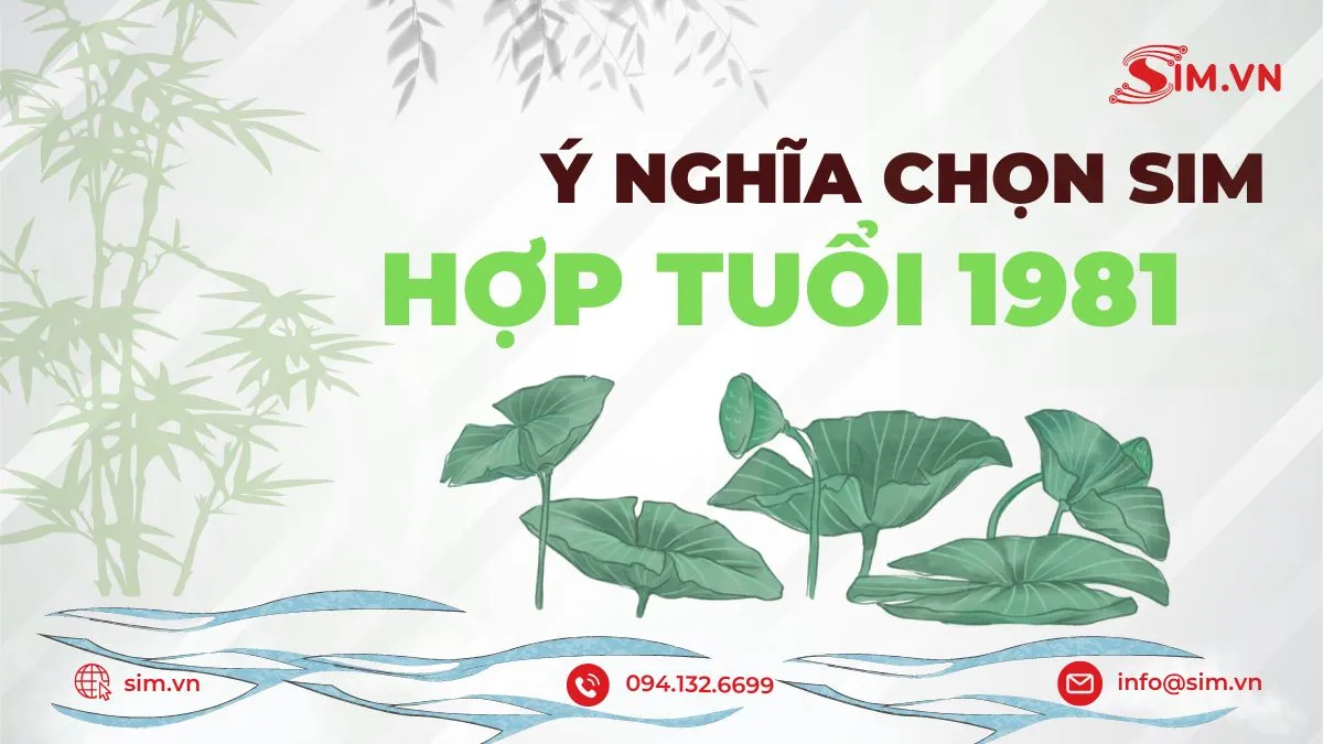 y-nghia-chon-sim-hop-tuoi-1981