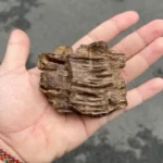 Gỗ trầm hương tự nhiên chứa lượng nhựa dầu đậm đặc, nguyên liệu cốt yếu để tạo ra những nén hương chất lượng cao.