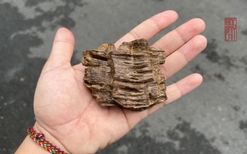 Cách Đốt Trầm Hương Que Chuẩn Nghệ Nhân Để Tỏa Hương 2026 30 Gỗ trầm hương tự nhiên chứa lượng nhựa dầu đậm đặc, nguyên liệu cốt yếu để tạo ra những nén hương chất lượng cao.