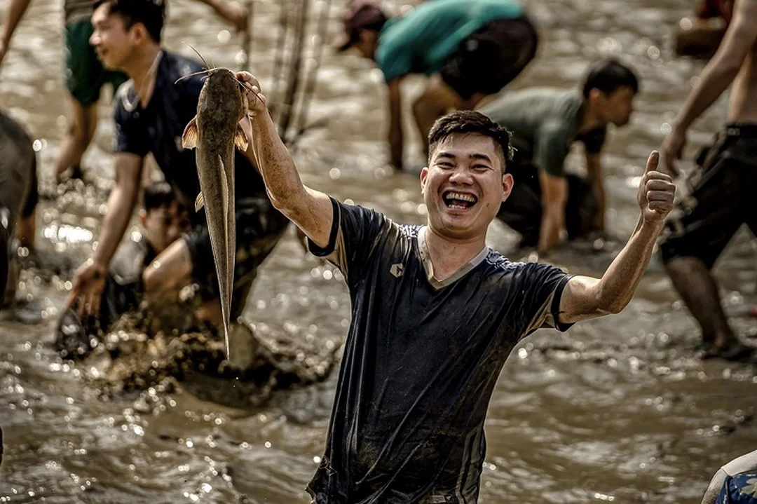 ảnh minh họa nằm mơ thấy cá đánh đề con gì và điềm báo khi bắt cá