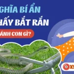 bang so mo thay bat ran theo tung tinh huong