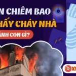 bang tra ngu mo thay chay nha danh con gi theo tung boi canh