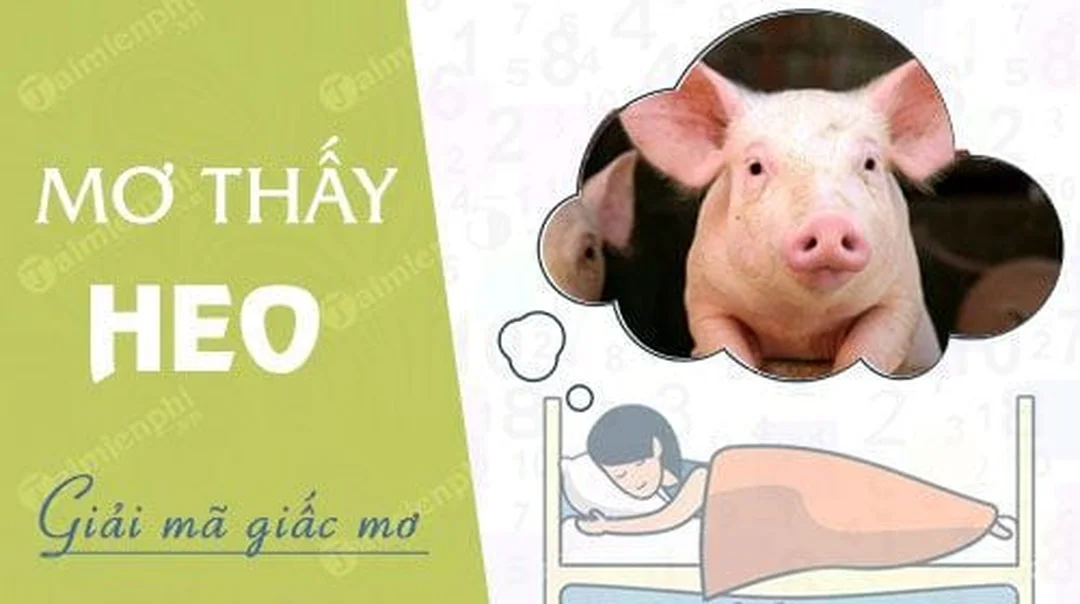 Mơ thấy 2 con heo đánh số mấy với hình ảnh heo trong giấc mơ