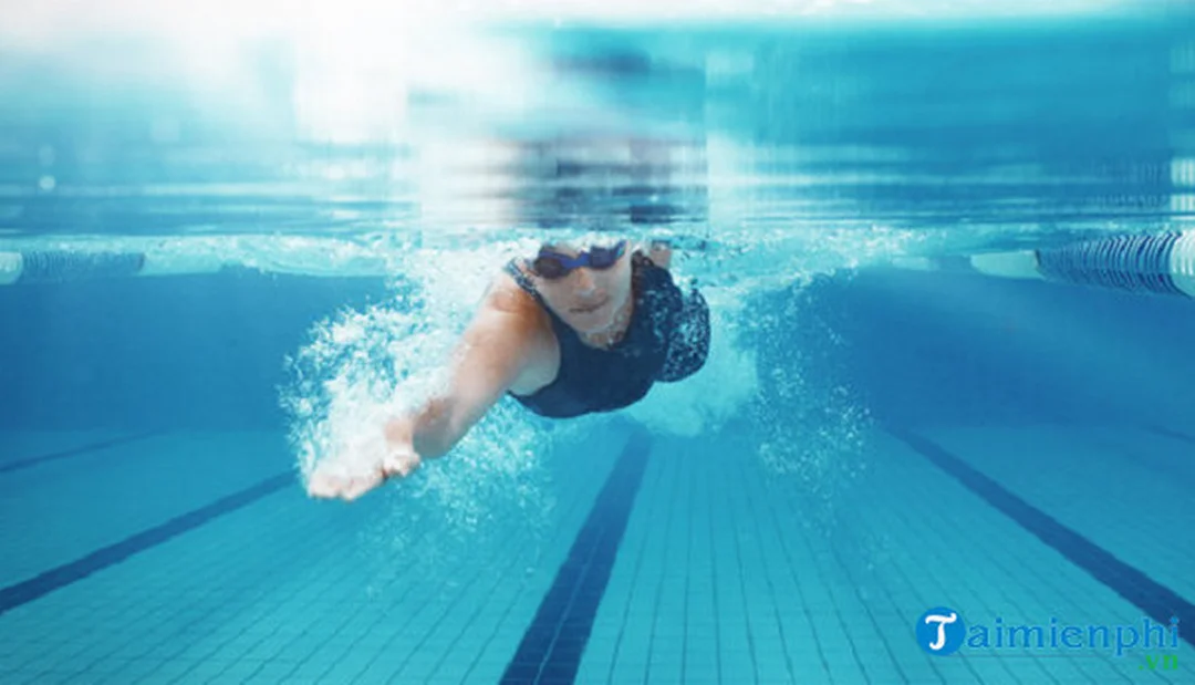 mơ thấy bể bơi đánh con gì - hình minh họa 2 mơ thấy bể bơi đánh con gì - hình minh họa 2