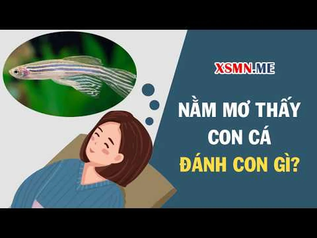 mơ thấy cá dưới góc nhìn tâm lý và giấc ngủ