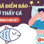 mo thay ca nhieu danh con gi hinh minh hoa 1