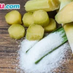 mo thay cay mia danh con gi qua hinh anh cay mia trong giac mo