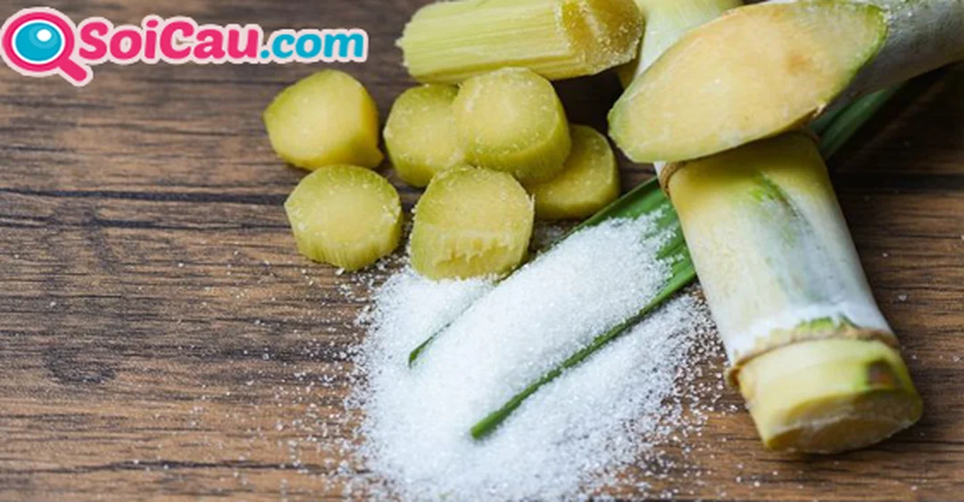 mo thay cay mia danh con gi qua hinh anh cay mia trong giac mo