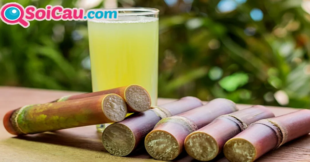 Mơ thấy cây mía đánh con gì qua hình ảnh giải mã giấc mơ cây mía