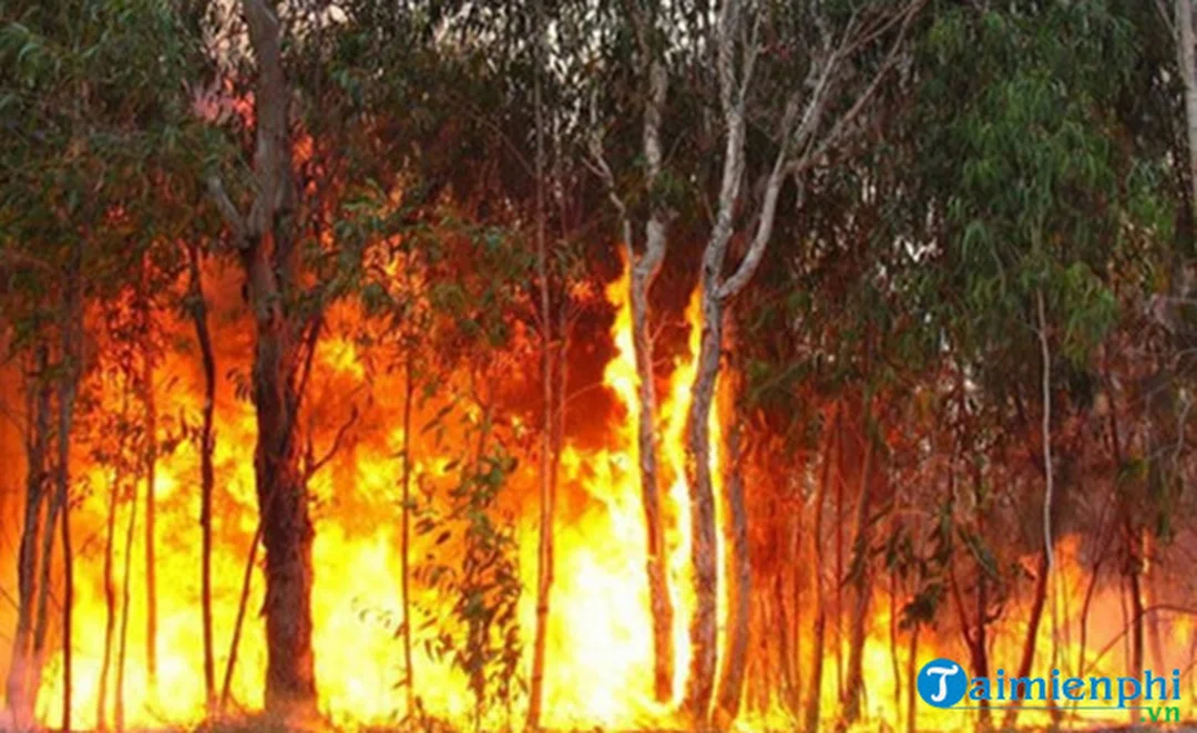 Mơ thấy cháy nhà thì đánh đề con gì qua hình ảnh lửa cháy dữ dội