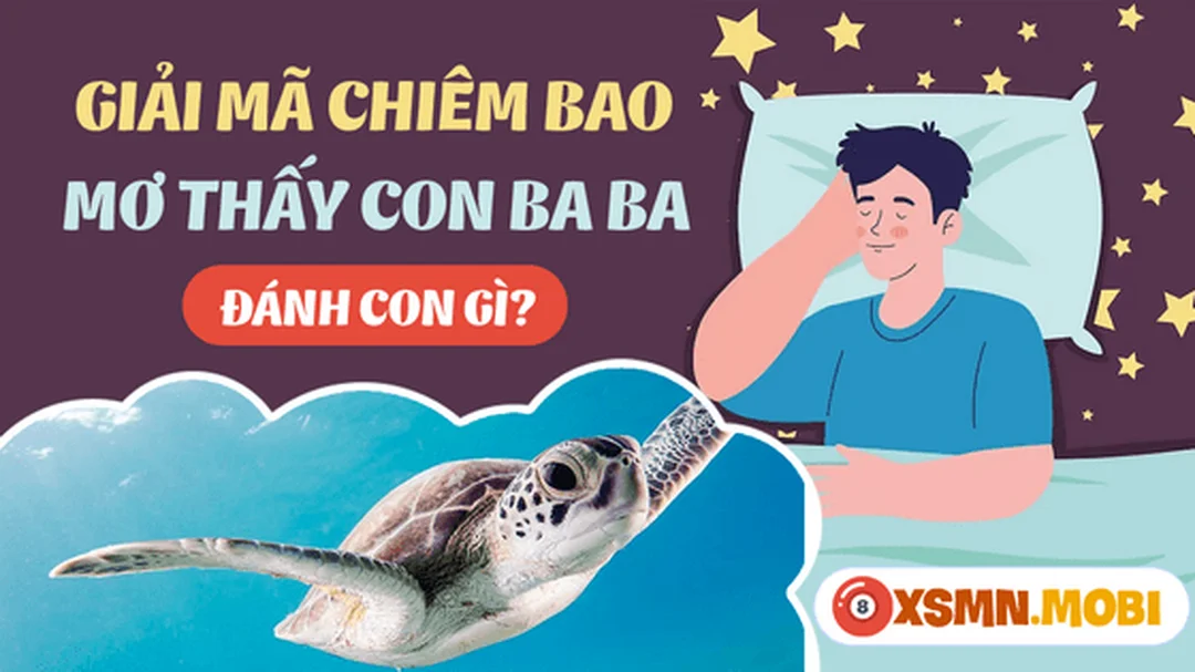 mơ thấy con ba ba thì đánh con gì - hình minh họa 2