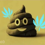 mo thay cut danh de con gi bang tra so mo thay phan