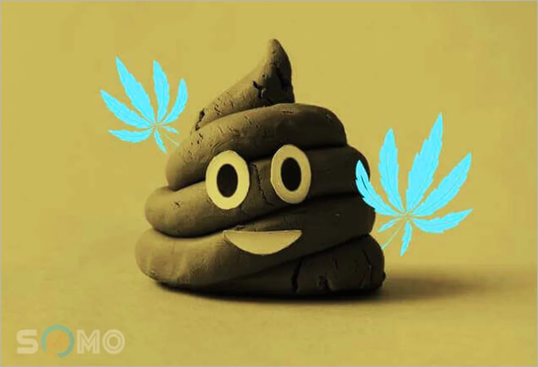 mơ thấy cứt đánh đề con gì cách tự giải mã giấc mơ