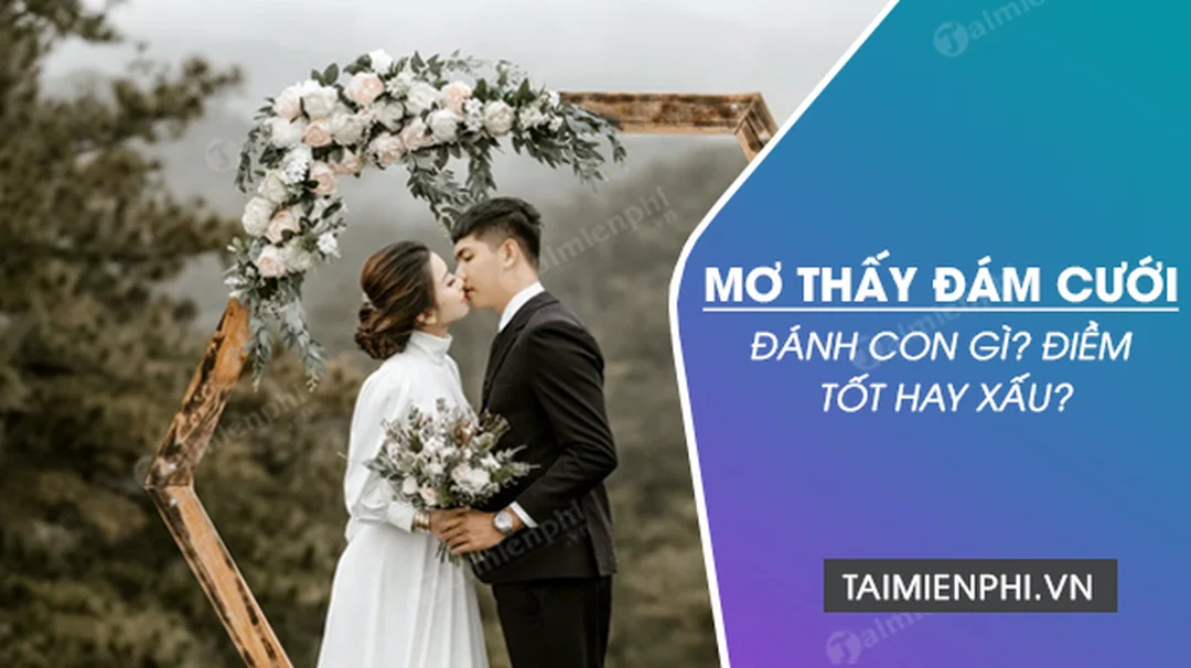 mo thay dam cuoi danh con gi hinh minh hoa 1