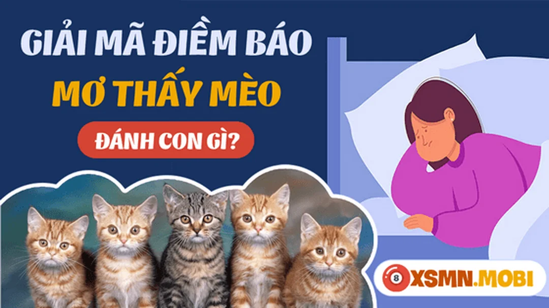 mơ thấy mèo vàng đánh con gì qua bảng số tham khảo