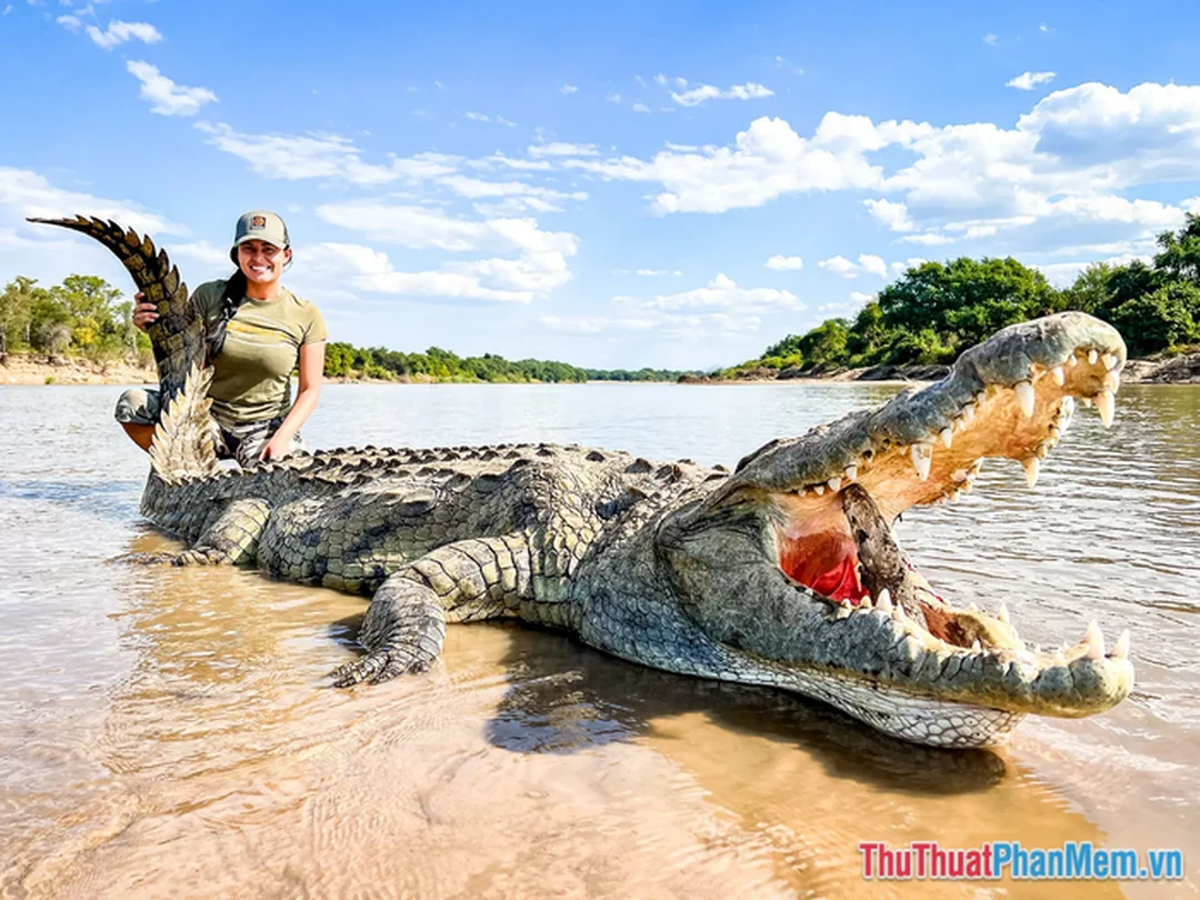 mơ thấy mình bắt được cá sấu và những chi tiết cần phân biệt