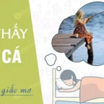 mo thay minh cau ca danh con gi hinh minh hoa 1