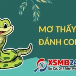 mo thay ran danh con gi theo tung truong hop