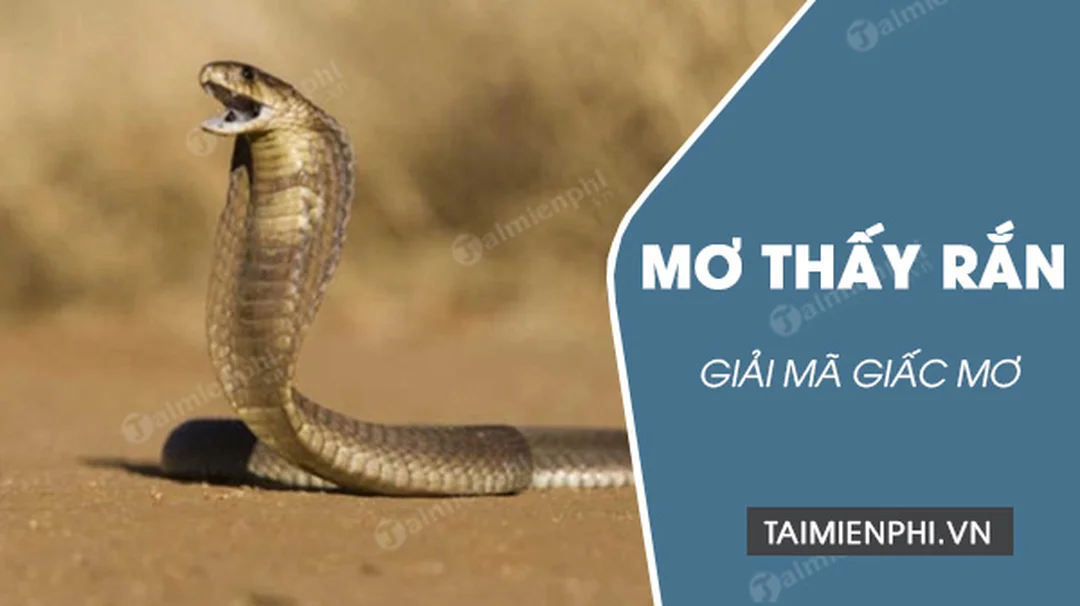 mơ thấy rắn đánh số gì theo tâm lý giấc mơ